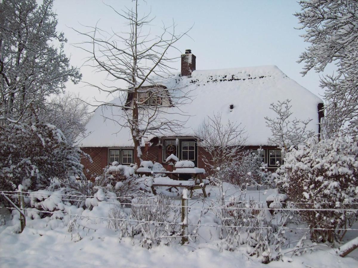 Anton'S Erfje Villa Dalfsen Exterior foto